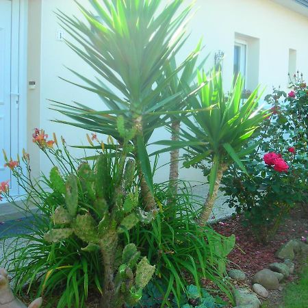 Les Hydrangeas Bed & Breakfast Plougastel-Daoulas Екстериор снимка