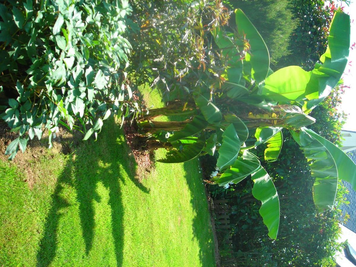 Les Hydrangeas Bed & Breakfast Plougastel-Daoulas Екстериор снимка