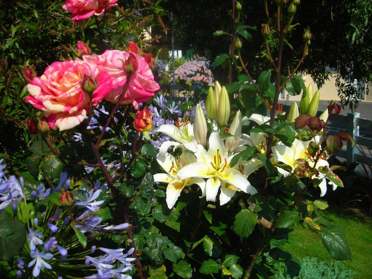 Les Hydrangeas Bed & Breakfast Plougastel-Daoulas Екстериор снимка
